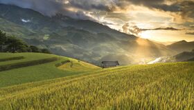 Begin your work visa-prepared day with Vietnam’s tranquil ambiance